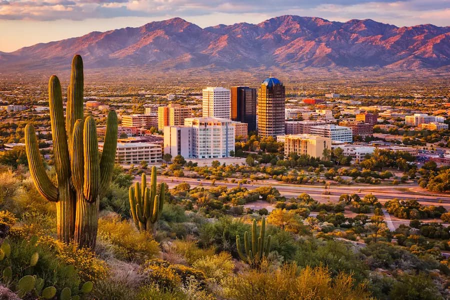 Wide hero background image of Tucson, Arizona with saguaro cacti in the foreground and the city skyline below the Santa Catalina Mountains at sunset, representing bankruptcy legal help for Tucson residents.