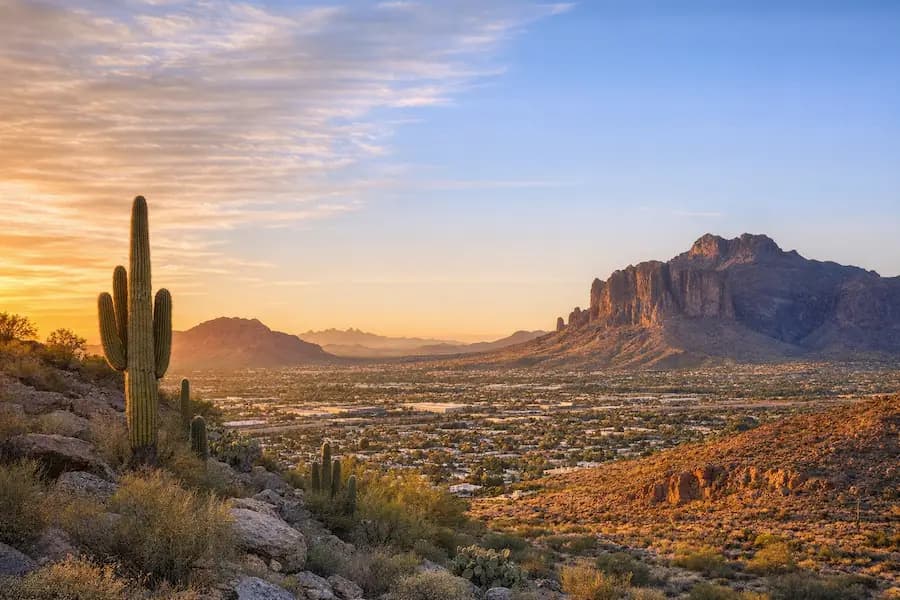 Wide hero background showing Mesa, Arizona at sunrise with saguaro cacti in the foreground and the Superstition Mountains in the distance.